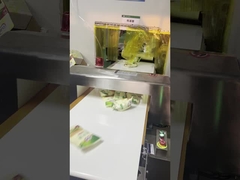 Αυτοκινητικό ανιχνευτή μετάλλων για την ασφάλεια τροφίμων για γραμμή συσκευασίας, μεγέθος σήραγγας 300 * 150mm