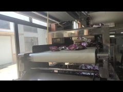 Ρυθμιζόμενο ύψος και μήκος ζώνης ανιχνευτής μετάλλων για την επιθεώρηση αντικειμένων