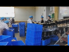 Πλήρης δομή του ανιχνευτή μετάλλων από ανοξείδωτο 304 τροφίμων με ψηφιακή επεξεργασία σήματος και OEM