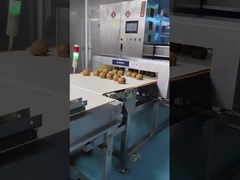 Αυτοματοποιημένο μεταγωγικό ανιχνευτή μετάλλων 0.5 mm Ευαισθησία Ελέγχου πρώτων υλών τροφίμων / καλλυντικών προϊόντων