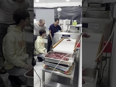 Ανιχνευτής μετάλλων βαθμού τροφίμων