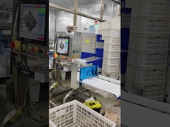 Μηχανή επιθεώρησης με ακτίνες Χ για τη βιομηχανία