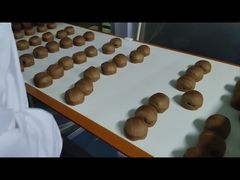 0.01g Ανιχνευτής μετάλλων ανάλυσης για την επεξεργασία τροφίμων Προστατεύει τα προϊόντα σας από τη μόλυνση από μέταλλα