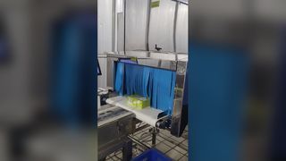 Σύστημα επιθεώρησης ακτίνων Χ βιομηχανικών τροφίμων SHANAN