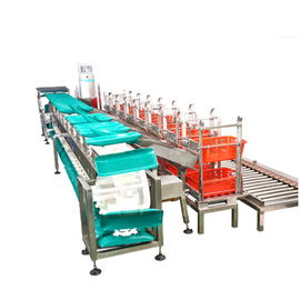 Υψηλός ακριβής Checkweigher μεταφορέας για τη ζυγίζοντας μηχανή συσκευασίας